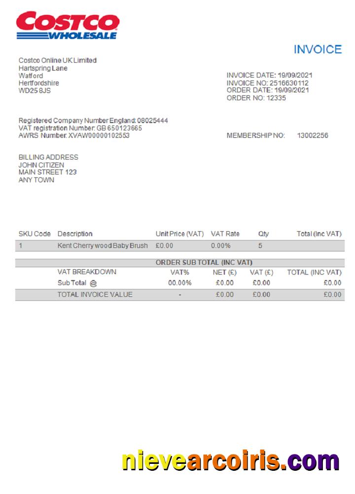 USA Costco invoice
